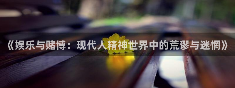 汇富娱乐代理